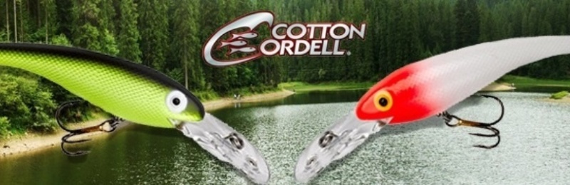 COTTON CORDELL