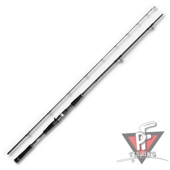 Спиннинг GIANT ROCKER 962HS ( 2.90m, 20-90g, PE 2.5-5#, 2-х част., FUJI)