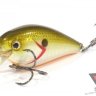 Воблер DAIWA TD CRANK US 3061F / TENNESSEE SHAD (5603)