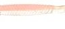 Силиконовая приманка Ecogear Grass Minnow 1-75"- №296