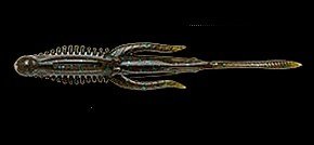 viewImg3r.jpg viewImg3r.jpg