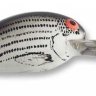 "Bomber"  B06A XBS "Model A"  (5,4 см 10,5 гр 6-8 ft)  Baby Striper