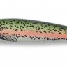 "Bomber"  B25A XRT "Long A" (11,4см, 20гр, 12-15ft) Rainbow Trout
