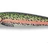 "Bomber"  B25A XRT "Long A" (11,4см, 20гр, 12-15ft) Rainbow Trout