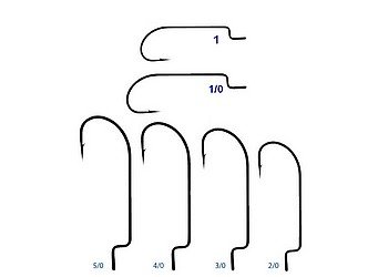 bs_231199tigm1f.jpg bs_231199tigm1f.jpg