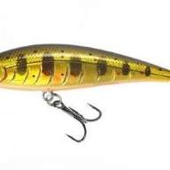 Puncher42sk-BrookTrout 