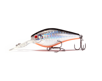 Hillman's bait shop Clearance