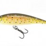 Puncher60ft-Fario 