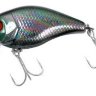 Воблер JACKALL Chubby 38 SSR цвет ul tamamushi