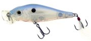 Shaman Popper col. 53 Shinner Shad
