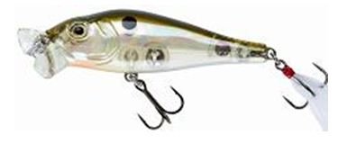 Shaman Popper col. 63 Green Back Scale