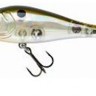 Shaman Popper col. 63 Green Back Scale