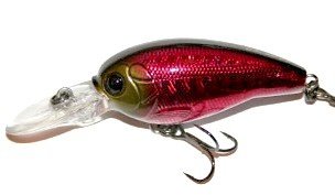 viewImg (13)ry.jpg viewImg (13)ry.jpg