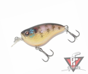 CRANKSTER MR 45 FT, OG