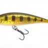 Puncher70ft-BrookTrout 