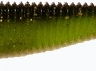 RA SHAD (95mm) col 67 (Watermelon Gold Chart)