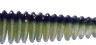 SATOR WORM (60mm) col 69