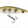 Puncher70ft-Native 