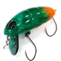 CRANKIN PUPA SHALLOW