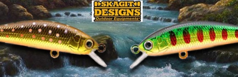 SKAGIT DESIGNS