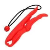 ИНСТРУМЕНТЫ