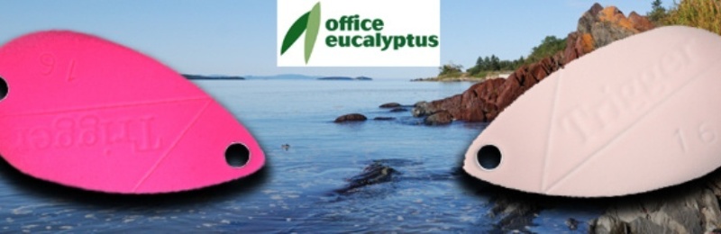 OFFICE EUCALYPTUS