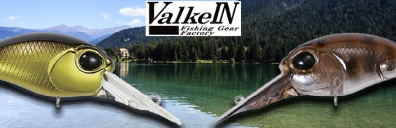 VALKEIN