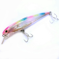 Oyster Minnow