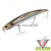 Tide Minnow