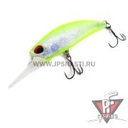 Tetra Works Totoshad