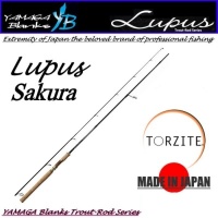 Lupus