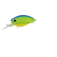 Crank Kabuki Bottom Rush