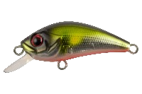 ITTEKI